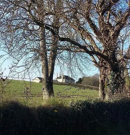 Loughnagore House Kilbeggan